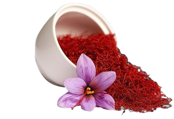 Safir Pars - About us